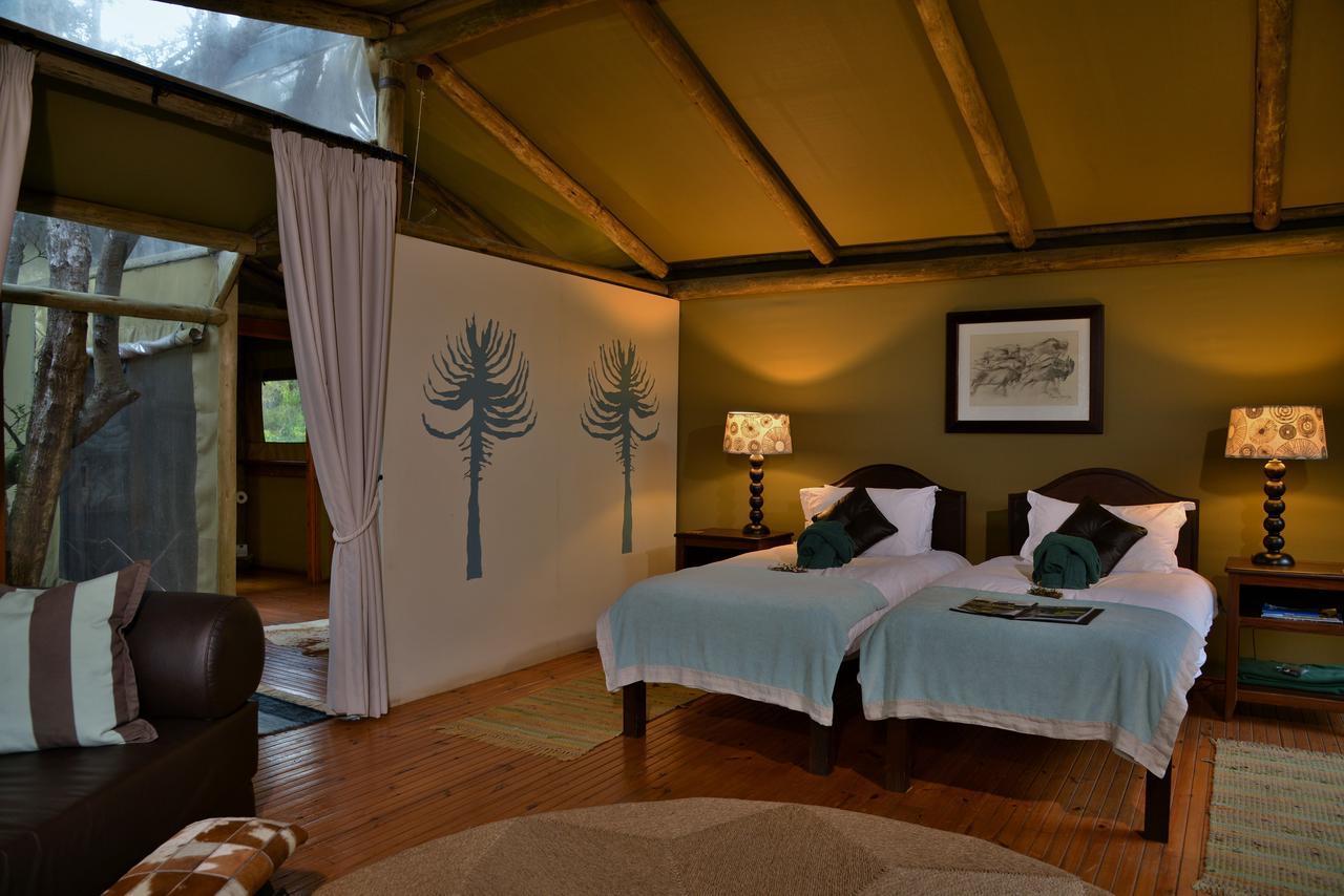 Sibuya Game Reserve And Lodge Кентон-он-Си Экстерьер фото