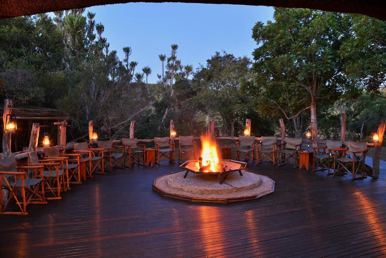 Sibuya Game Reserve And Lodge Кентон-он-Си Экстерьер фото